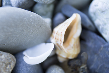 Similar image 6498314