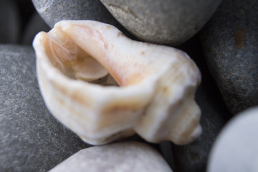 Similar image 6498315