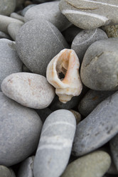 Similar image 6498316