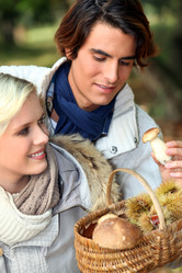 Similar image 6498429