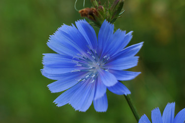 Similar image 6498485