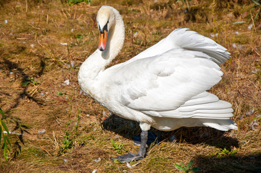 Similar image 6498616