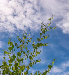 Similar image 6498894