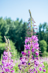 Similar image 6498895