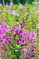 Similar image 6498896