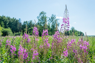 Similar image 6498897