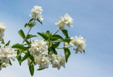 Similar image 6498898