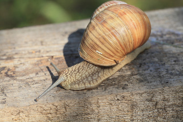 Similar image 6498902