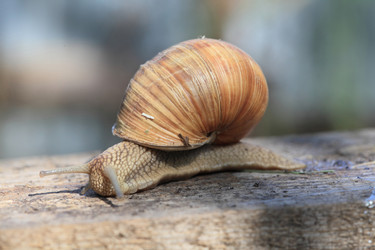 Similar image 6498904