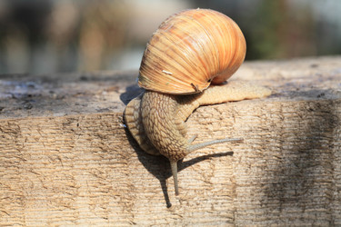 Similar image 6498906