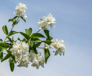 Similar image 6498917