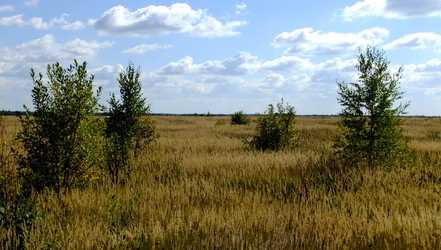 Similar image 6498975