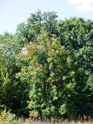 Similar image 6498978