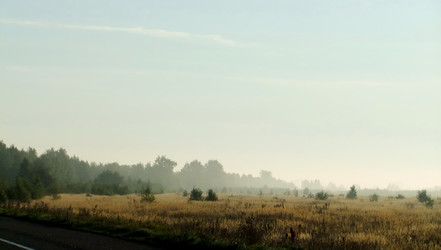 Similar image 6498981