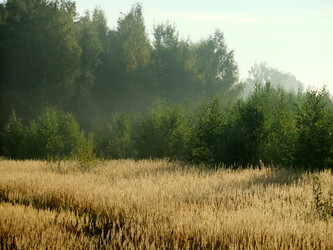 Similar image 6498983