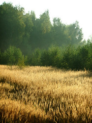 Similar image 6498984