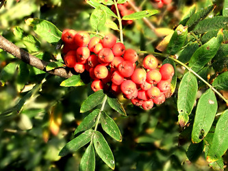 Similar image 6498985