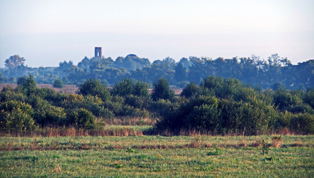 Similar image 6498988