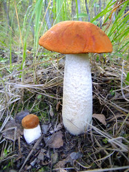 Similar image 6498992