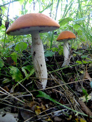 Similar image 6498993