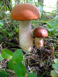 Similar image 6498994