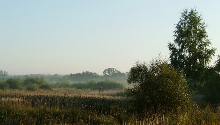 Similar image 6498996