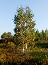 Similar image 6498997