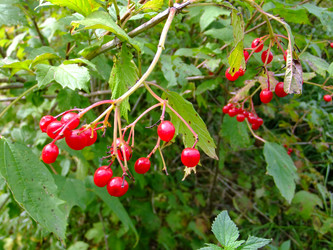 Similar image 6498998