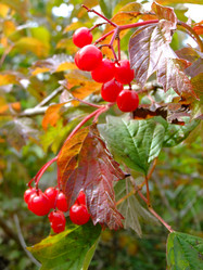 Similar image 6499000