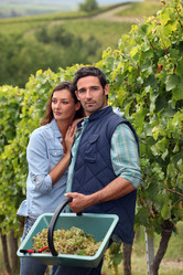 Similar image 6499142