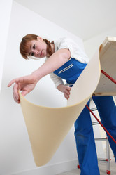 Similar image 6499196