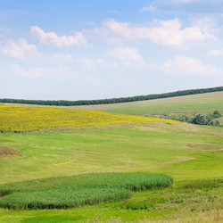 Similar image 6500056