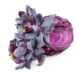 Similar image 6500064