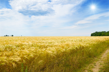 Similar image 6508742