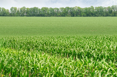 Similar image 6508744