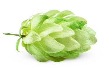 Similar image 6508875