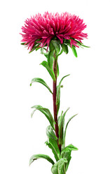 Similar image 6508877