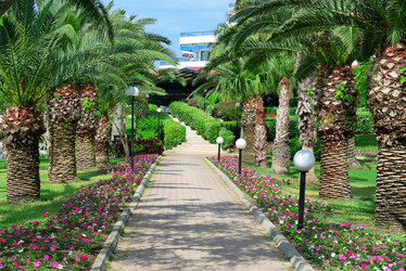 Similar image 6508881