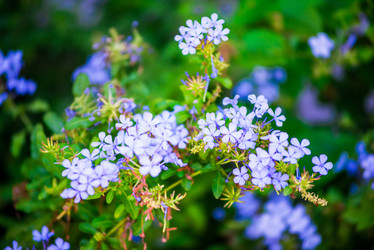 Similar image 6508938