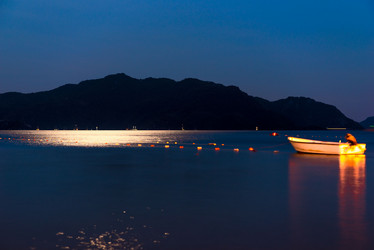 Similar image 6508939