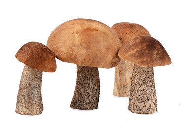 Similar image 6509018