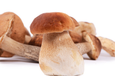 Similar image 6509020