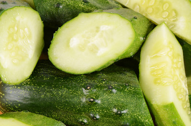 Similar image 6509039