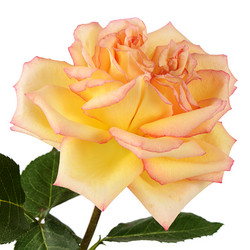 Similar image 6509040