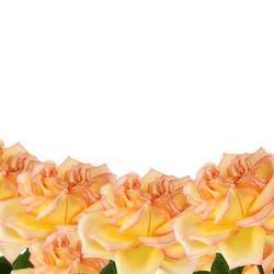 Similar image 6509042