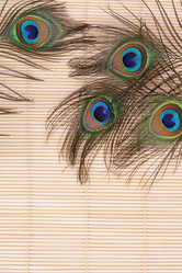 Similar image 6509043