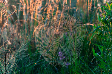 Similar image 6509119