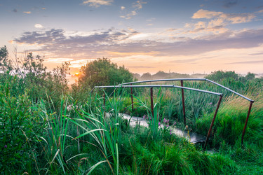 Similar image 6509120