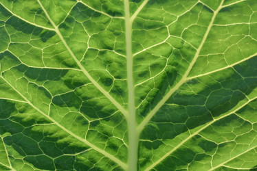 Similar image 6509123