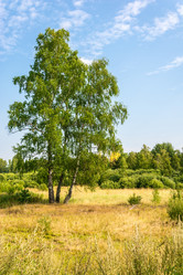 Similar image 6509124